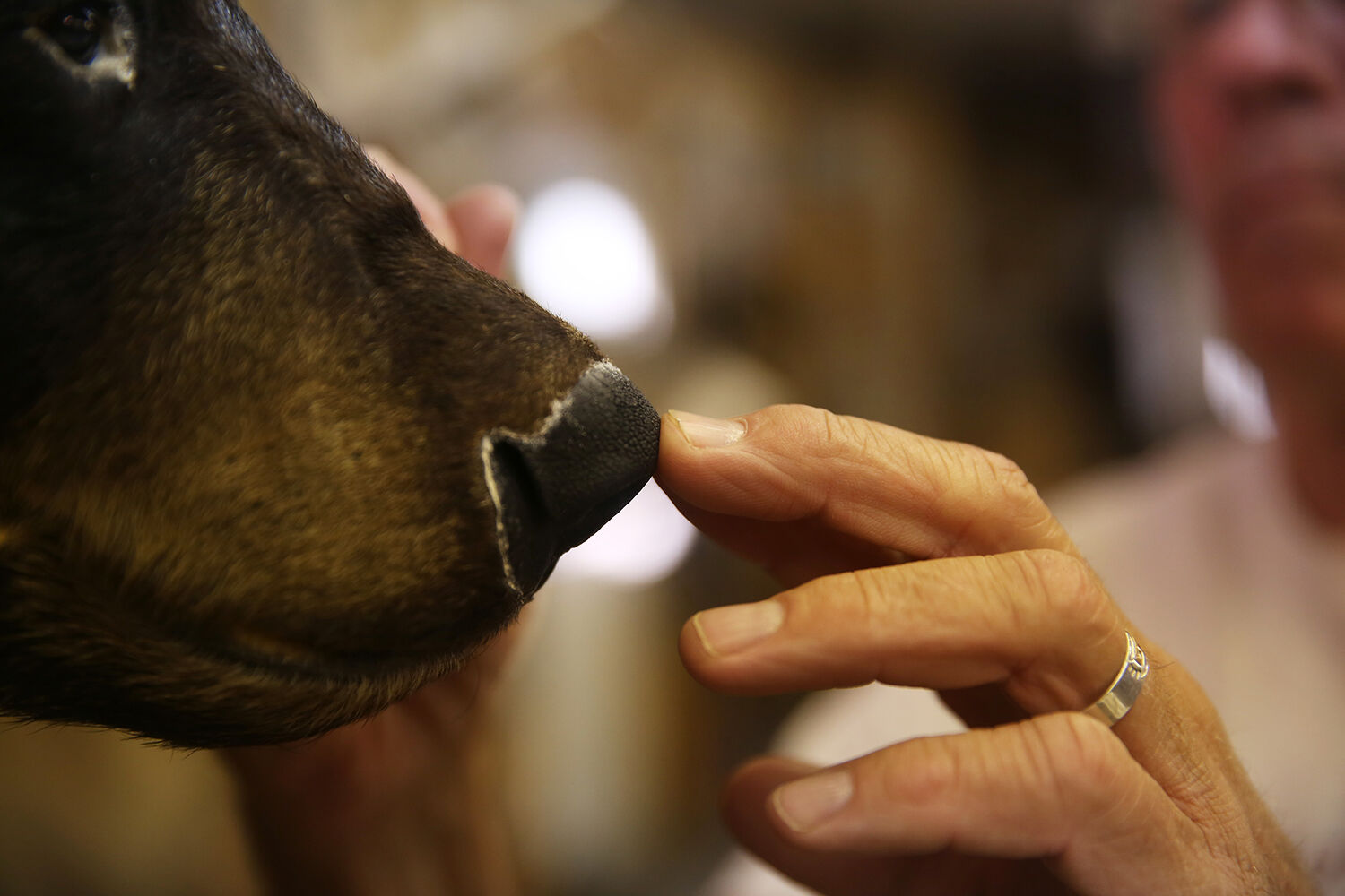Tim balances himself and the bear with a gentle finger on the nose